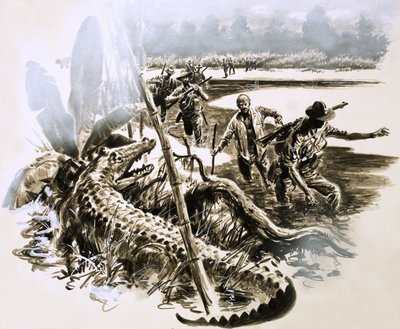 Dressed Only in His Pyjamas, Harry Murray Plunged Through the Crocodile Infested Swamps of New Guinea by English School