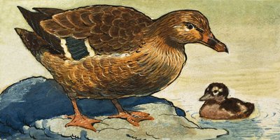 Duck and Duckling by English School