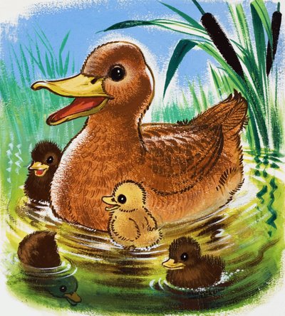 Ducks by English School