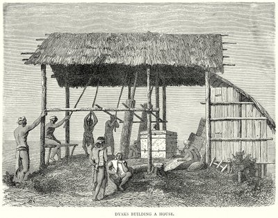 Dyaks Building a House by English School