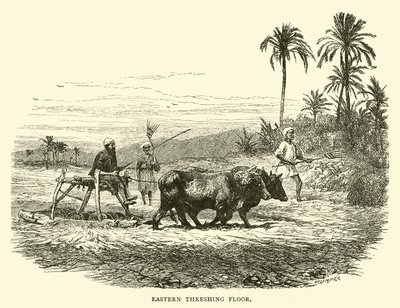 Eastern threshing floor by English School
