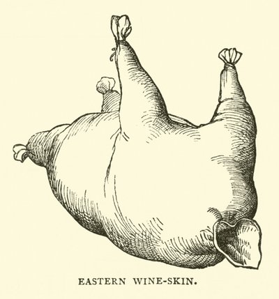 Eastern Wine-Skin by English School