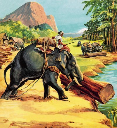 Elephant. Illustration from Elephant Bill by Liuet. Col. J. H. Williams by English School