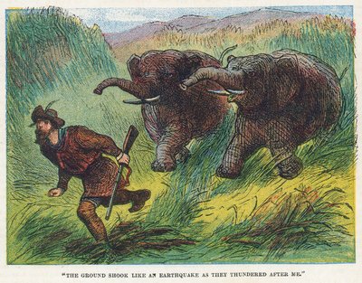 Elephant Hunt by English School