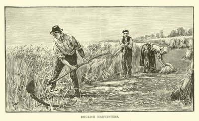 English harvesters by English School