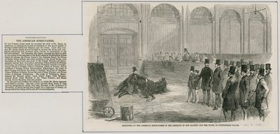 Exhibition by the American Horse-Tamer in the Presence of Her Majesty and the Court, at Buckingham Palace by English School