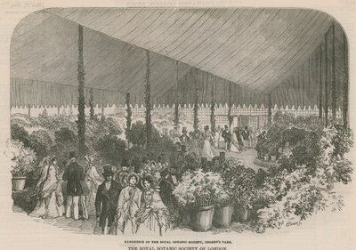 Exhibition of the Royal Botanic Society by English School