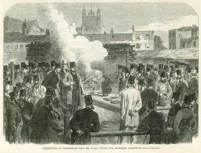 Experiments at Westminster by English School