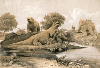 Extinct Animals by English School
