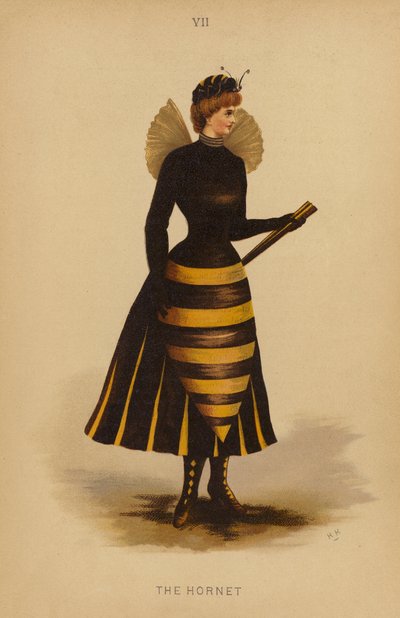 Fancy Dress Outfits: The Hornet by English School