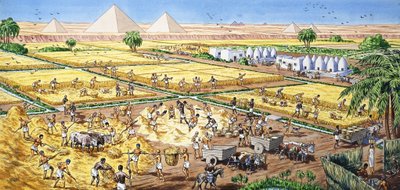 Farming in Egypt by English School