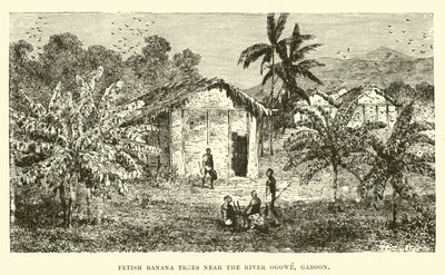 Fetish banana trees near the River Ogowe, Gaboon by English School