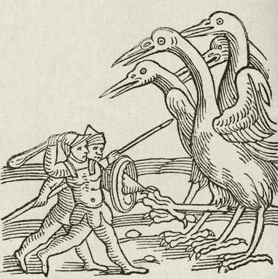 Fight between Pygmies and Cranes. A story from Greek mythology. From The Strand Magazine published 1897. by English School