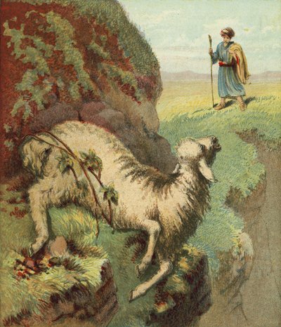 Finding the Sheep by English School