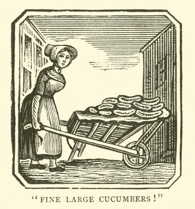 Fine large cucumbers by English School