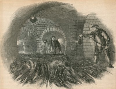 Flushing the Sewers by English School