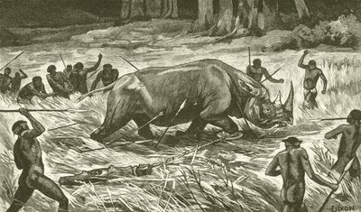 Following the Noosed Rhinoceros by English School