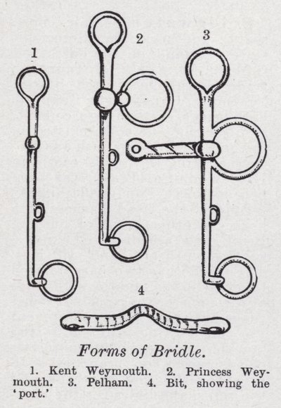 Forms of bridle by English School
