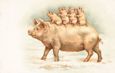 Four Piglets Riding on the Back of Their Mother by English School