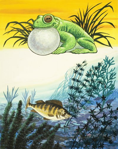 Frog and Fish by English School