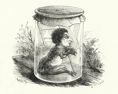 Frog in a jar by English School