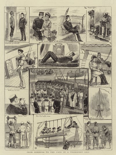 From Bermuda to the Cape in a Transport Ship by English School