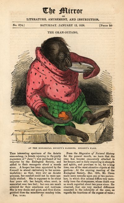 Front page of The Mirror from January 13 1838 celebrating the arrival of an Orangutan at the Zoological Society