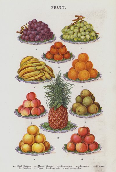 Fruit by English School