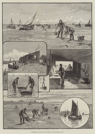 Gathering Cockles and Winkles on the Essex Coast by English School
