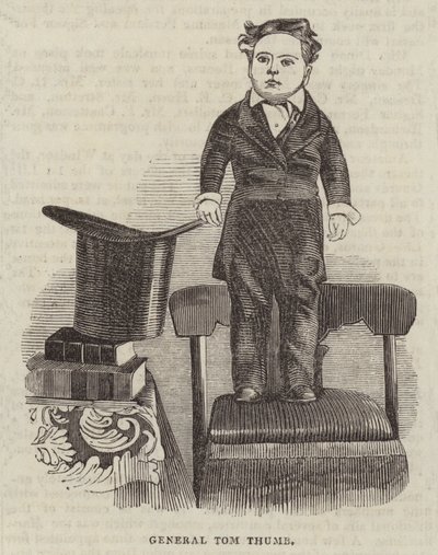 General Tom Thumb by English School
