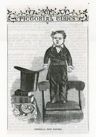 General Tom Thumb by English School