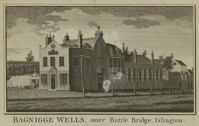 General View of Bagnigge Wells by English School