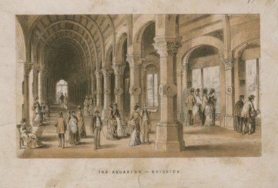 General View of the Aquarium in Brighton by English School