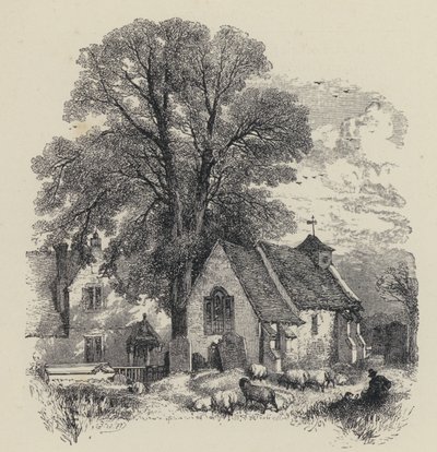 George Herbert