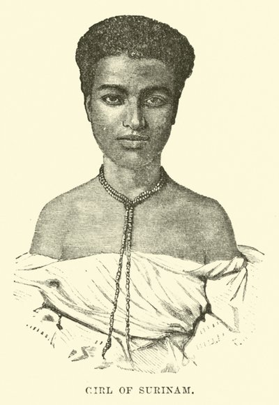 Girl of Surinam by English School