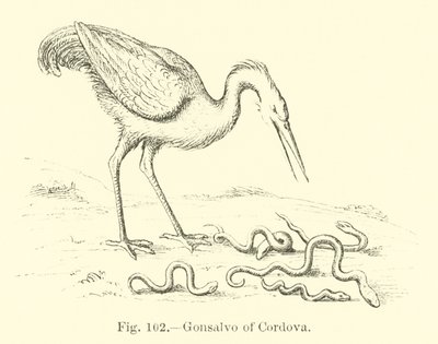 Gonsalvo of Cordova by English School