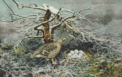 Grey Hen and Nest by English School