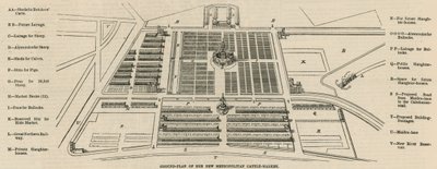 Ground plan of the new Metropolitan Cattle Market, Copenhagen Fields by English School