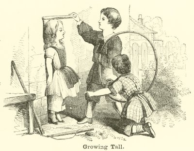 Growing Tall by English School