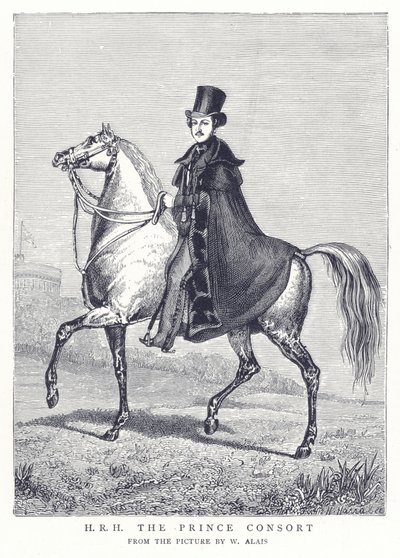 H.R.H. the Prince Consort by English School