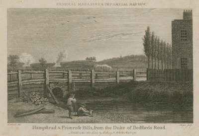 Hampstead and Primrose Hills, from the Duke of Bedford