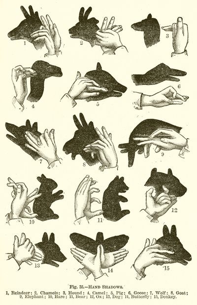 Hand Shadows by English School