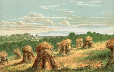 Harvest by English School