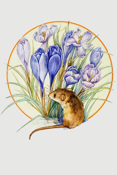 Harvest Mouse and Crocus by English School