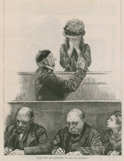 Have You Any Questions to Ask the Witness? by English School