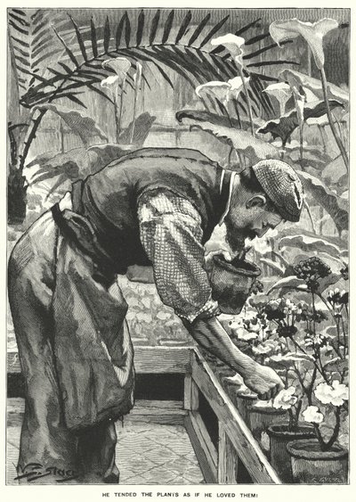 He Tended the Plants as if He Loved Them! by English School