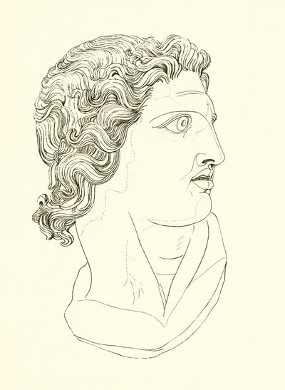 Head, Displaying Manly Vigour and Heroic Resolution by English School