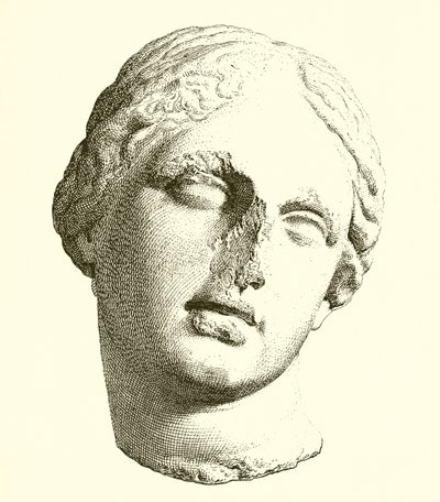 Head of Aphrodite by English School