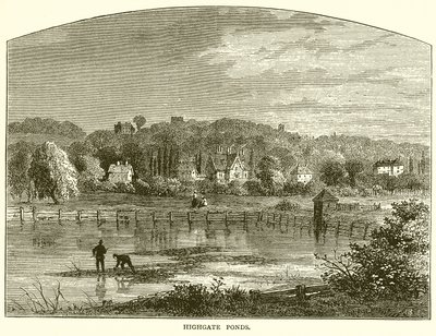 Highgate Ponds by English School