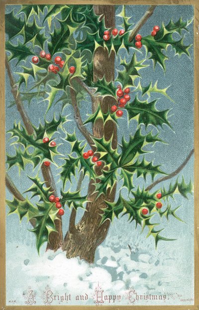 Holly Tree by English School